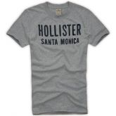 Camiseta Hollister Masculina Tamanho EG Cinza