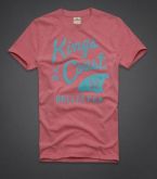 Camiseta Hollister Masculina Kings of the Coast